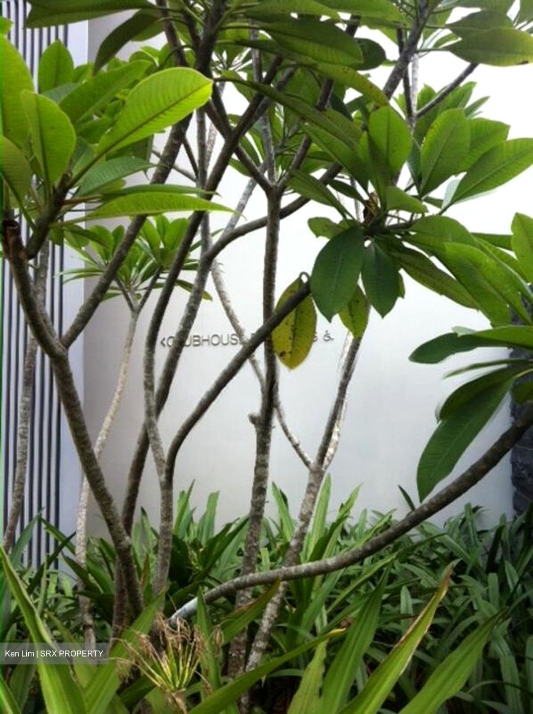 Seletar Park Residence (D28), Condominium #520539971